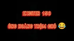 Ông Hoàng Trộm Chó