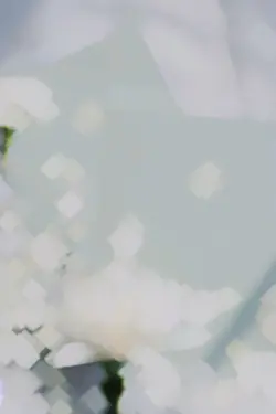 画像4枚でできる！！！