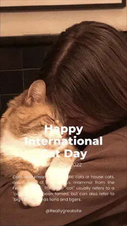 international catday