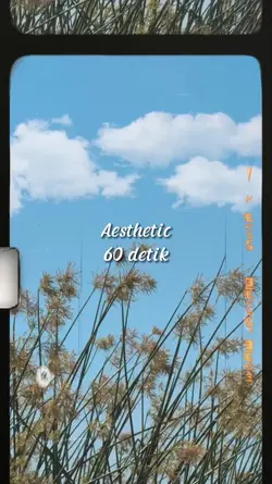 Aesthetic 60 detik