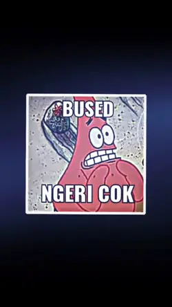 Collab Ber-5 