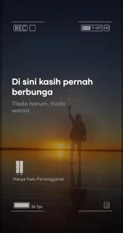 Hanya Satu persingga