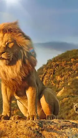 Singa