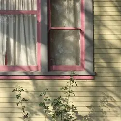 2 video | 12 pic