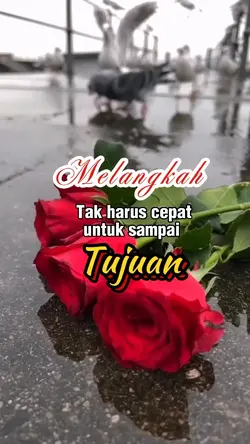 melangkah tak harus