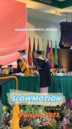 SlowmoTion Versi