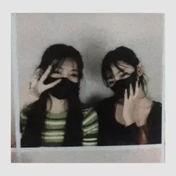 polaroid 