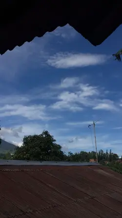 Ada yg nyari ini jga