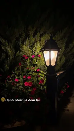 Tôi nhớ rồi ông ạ!