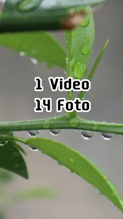 1 Video 14 Foto