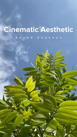Cinematic slow