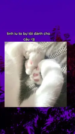 tìn yêu to lớn 