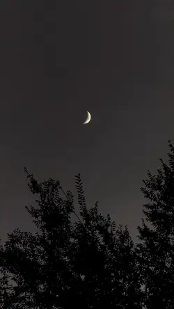 night vibes
