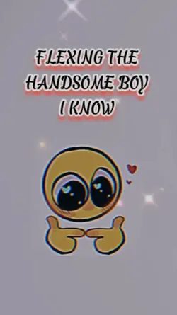 HANDSOME BOYS