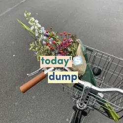 today's dump