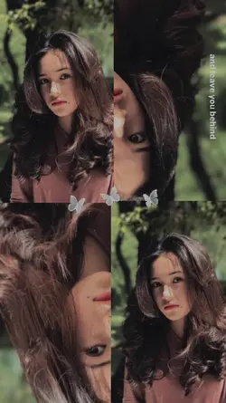 filter remini 