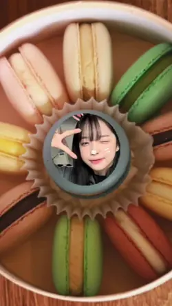 마카롱 포장