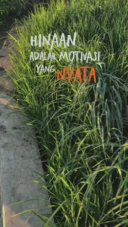 bener apa tidak
