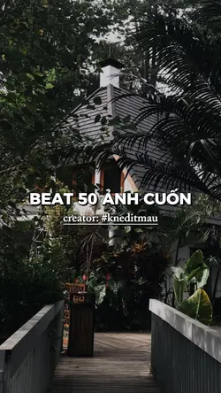 BEAT 50 ẢNH