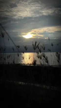 7 Foto/Video
