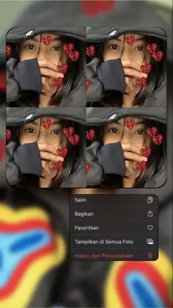 frame ip