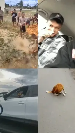 MEME STORY'WA