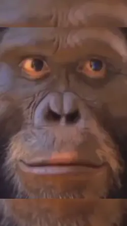 unggoy monkey face