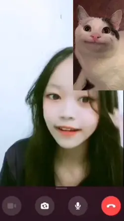 Mẫu troll