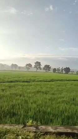 Hanya Untukmu