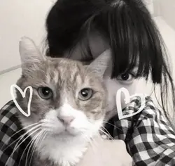 1 foto sm kucing