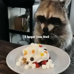 Meme 3 video
