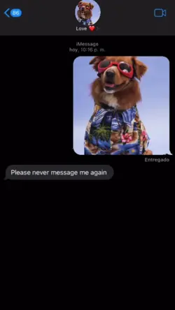 Message to my love