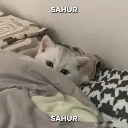 MemeSahur |