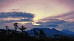 Sunrice