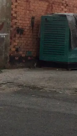 Thêm 1 video
