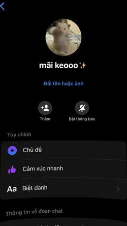 6 Wall 6 Ảnh
