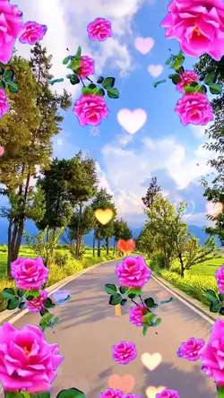 Khung hoa hồng đẹp