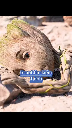 Groot tìm kím 1 ảnh
