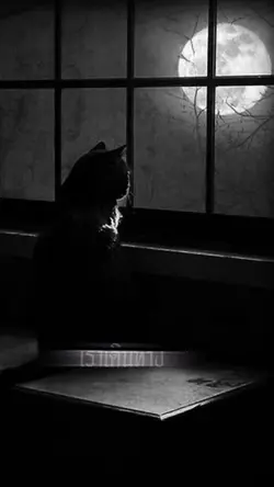 เพลงเศร้า