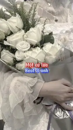 Một cú lừa