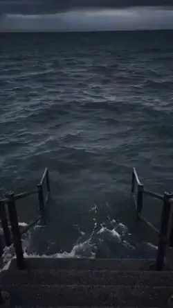 Meme Sea Scalable