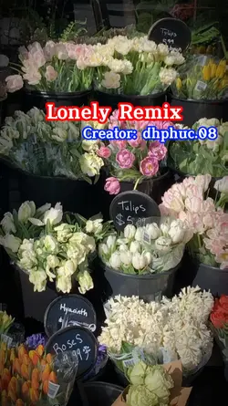 Lonely Remix