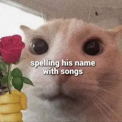 5 letters