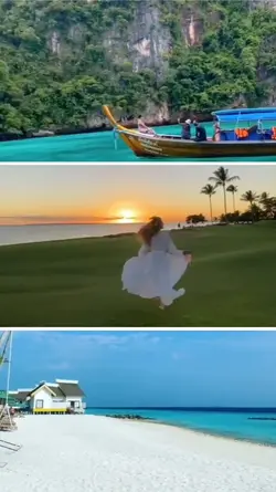 vlog grid