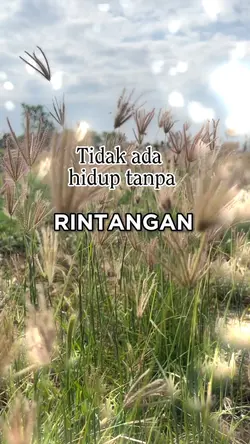 Kesabaran