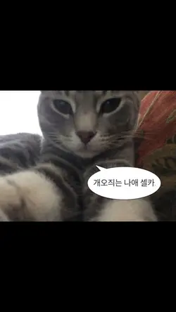 오지는 나의 셀카