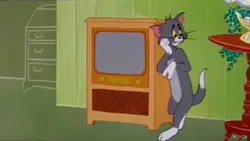 ทอมดูทีวี
