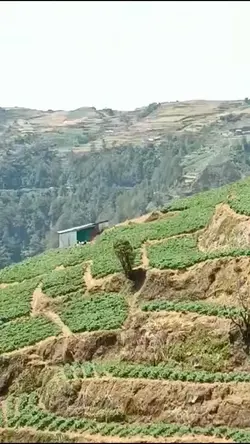 Benguet