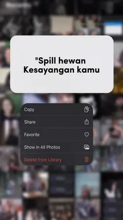 Spill hewan