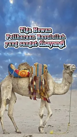 3 Hewan Rasulullah 